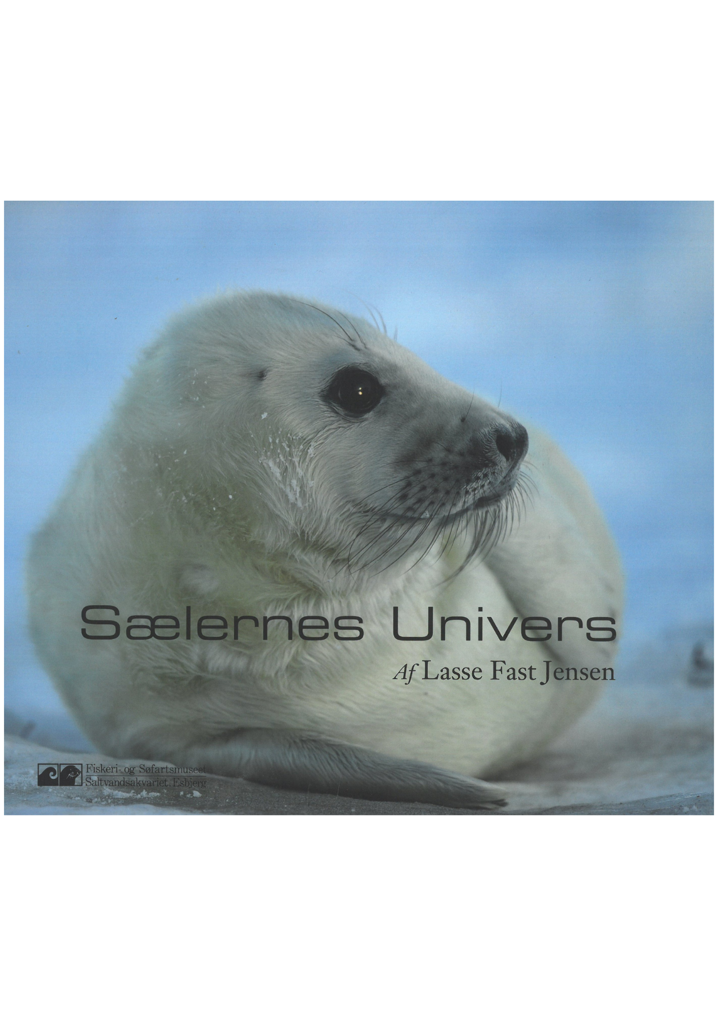 Sælernes Univers