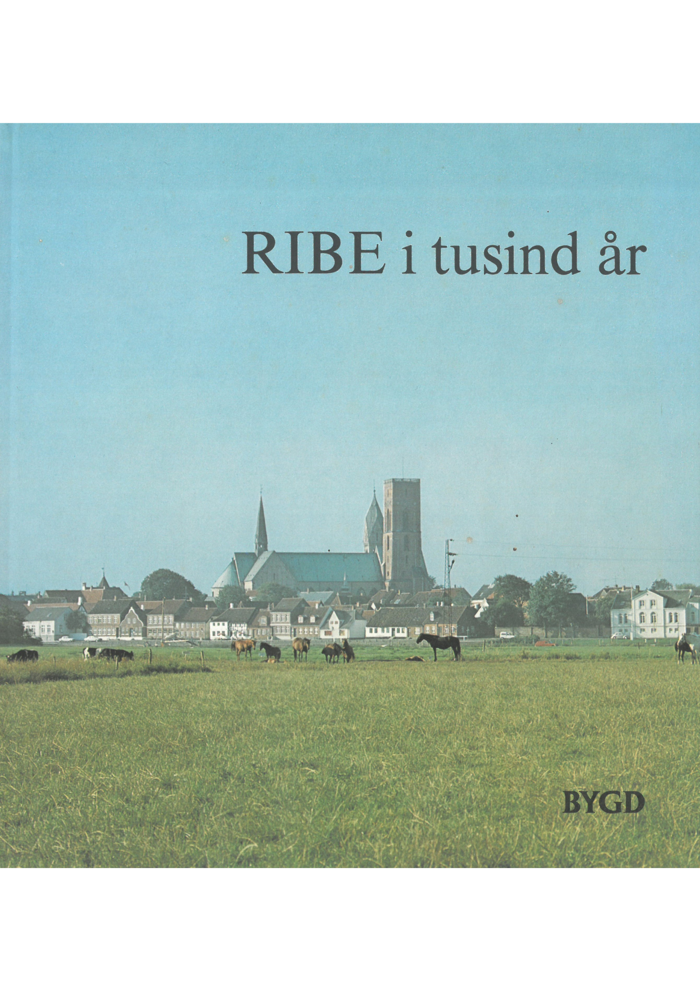 RIBE i tusind år
