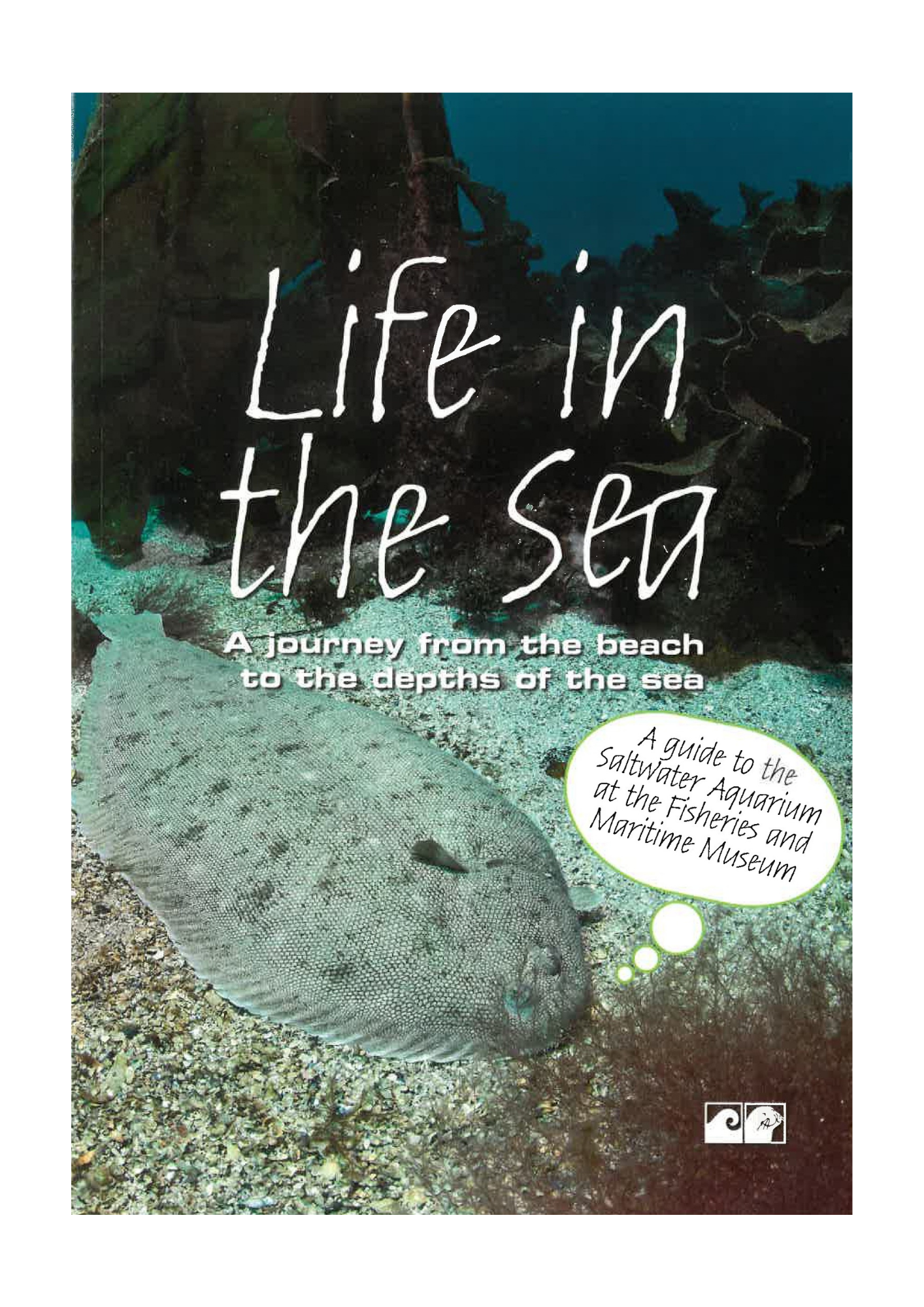 Livet i havet - En rejse fra strandbred til havets dyb (Dansk/Engelsk/Tysk)