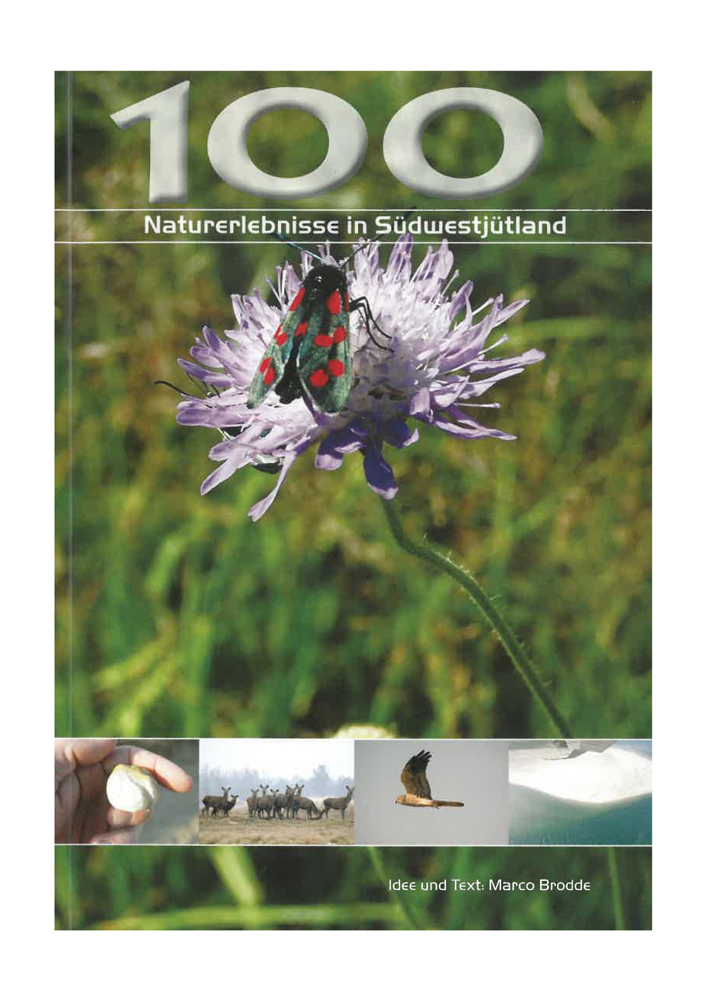 100 naturoplevelser i Sydvestjylland (Dansk/tysk)
